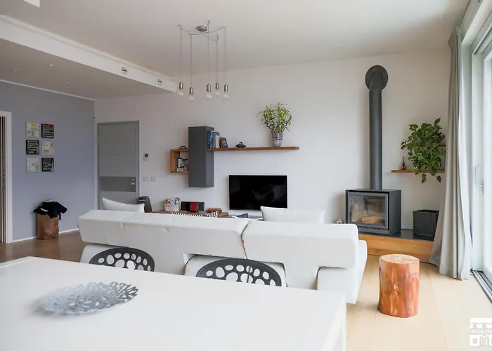 Belago By Design